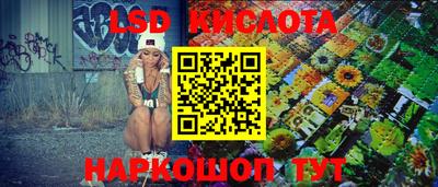 крисы Кингисепп