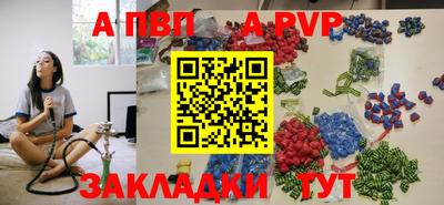 крисы Кингисепп
