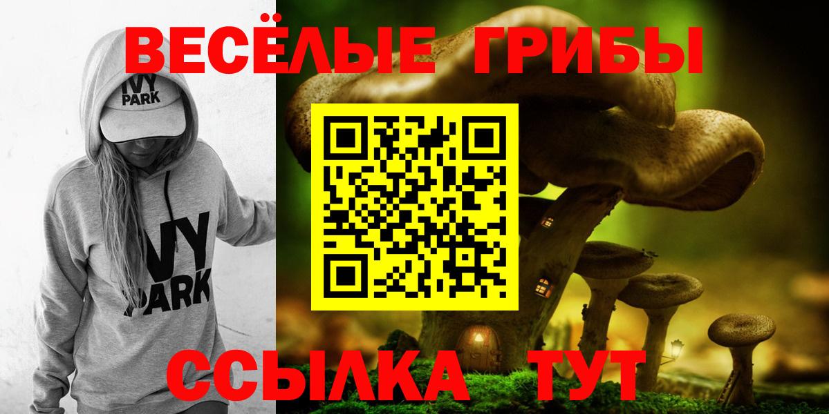 Георгиевск  Псилоцибиновые грибы Magic Shrooms  Вход с VPN  Псилоцибиновые грибы мицелий 