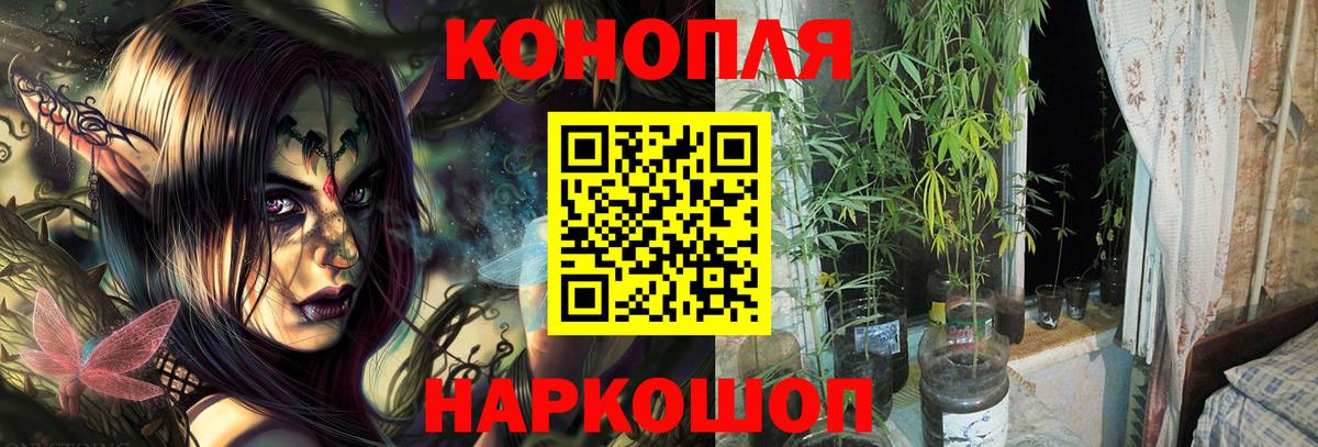Конопля конопля  Бошки Шишки тримм  Георгиевск  Канабис семена  Вход с VPN 